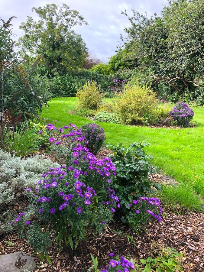 Dingle Garden Townhouse B&B 외부 사진 The gardens at the centre
