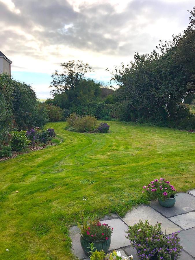 Dingle Garden Townhouse B&B 외부 사진 The garden of the house