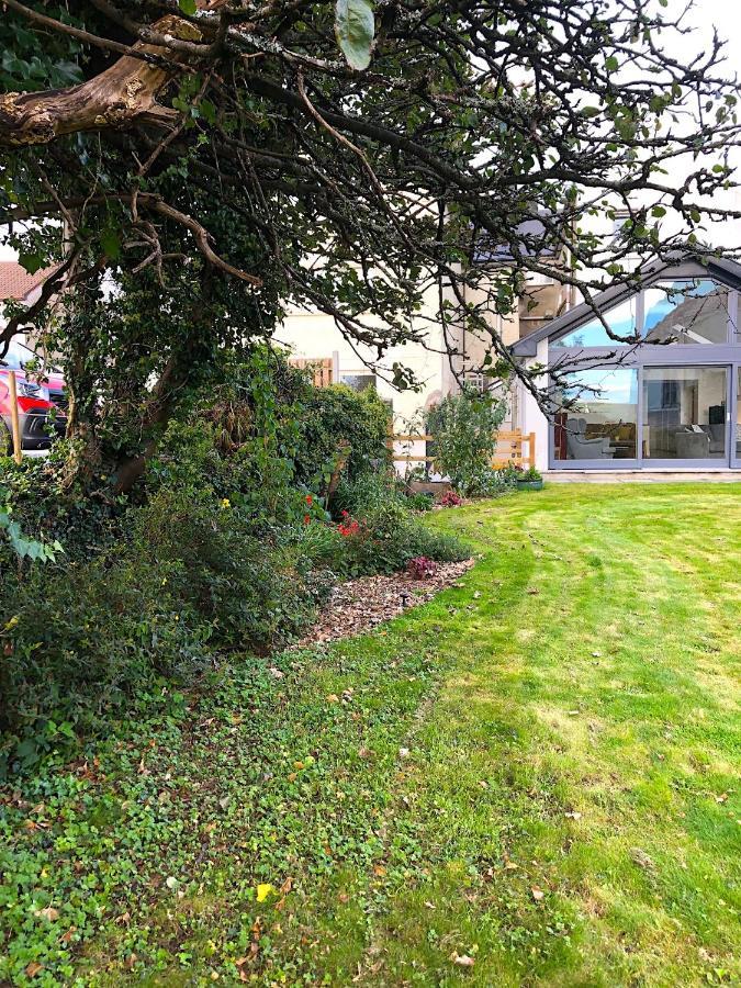 Dingle Garden Townhouse B&B 외부 사진 The garden of the house