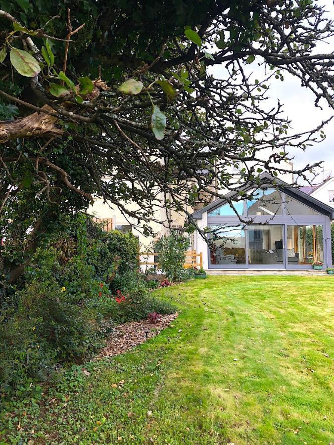 Dingle Garden Townhouse B&B 외부 사진 The garden of the house